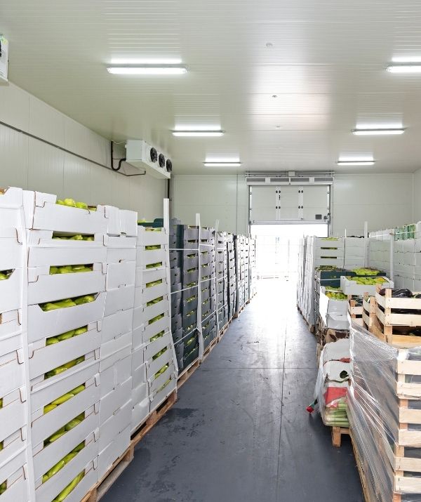 Soğuk zincir lojistiği