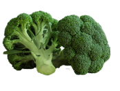 Brokoli